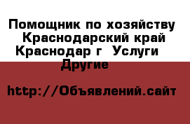 Помощник по хозяйству - Краснодарский край, Краснодар г. Услуги » Другие   